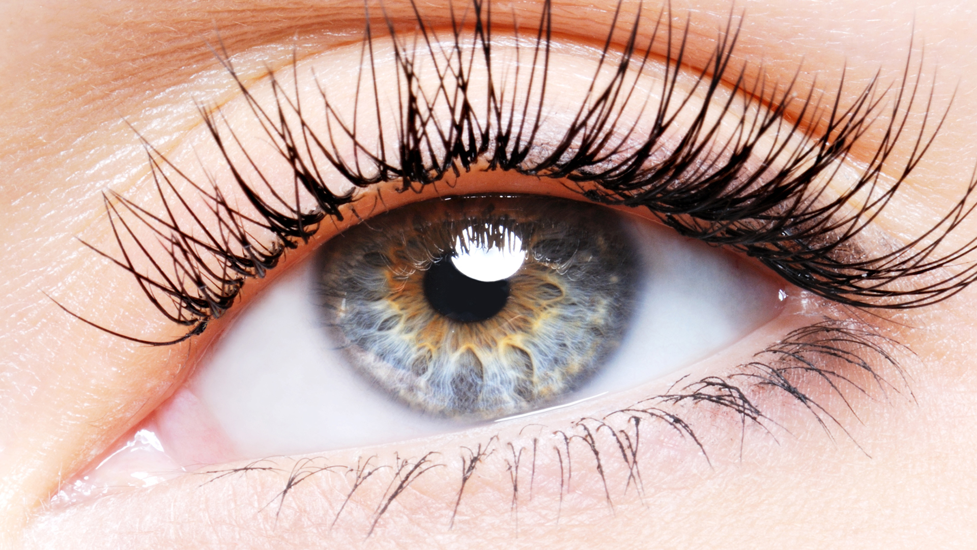  Best Eye Lens Price in India